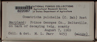 Image Associated With the Occurence